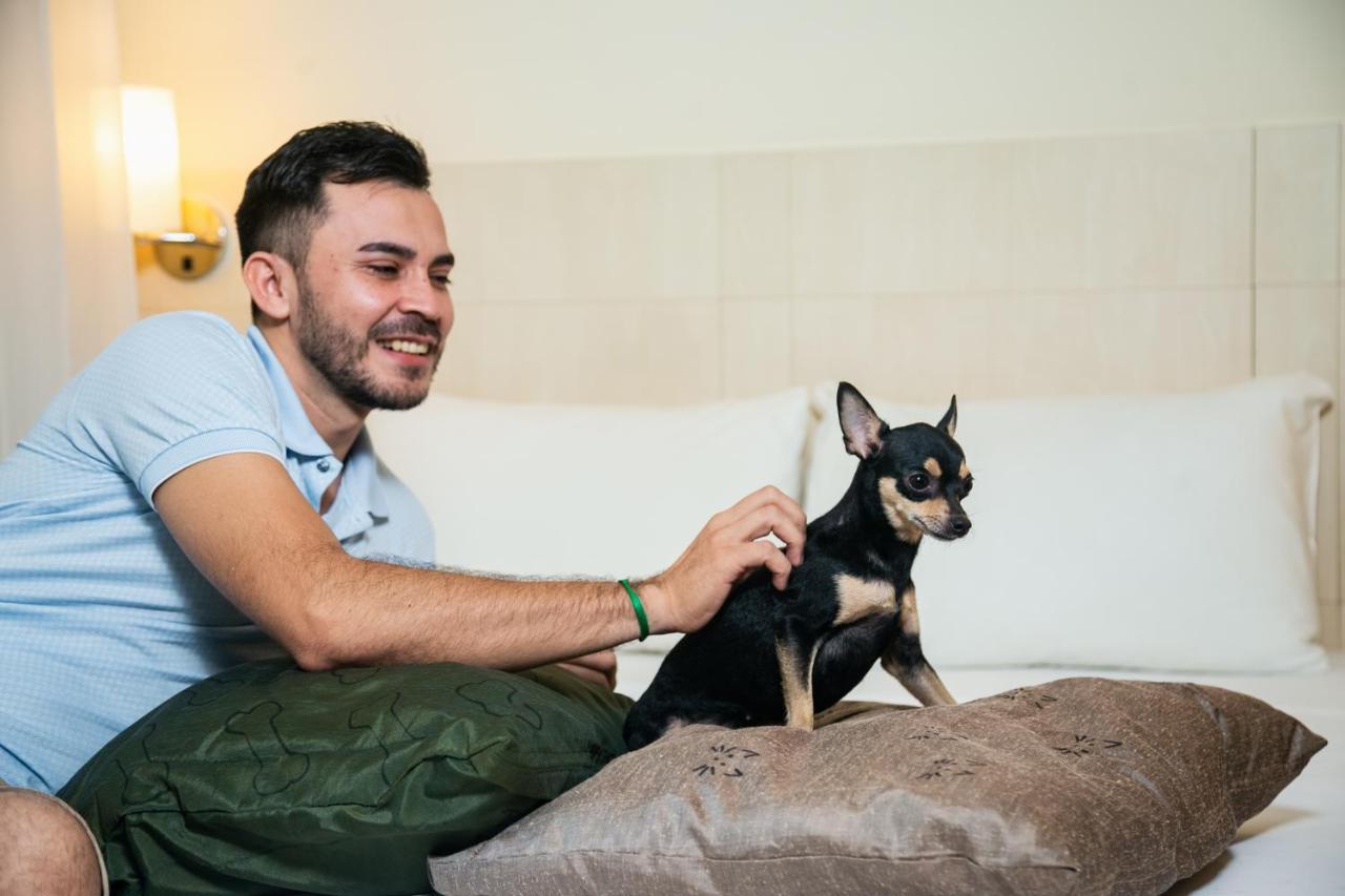 Ibis Styles Belem Batista Campos Ξενοδοχείο Εξωτερικό φωτογραφία